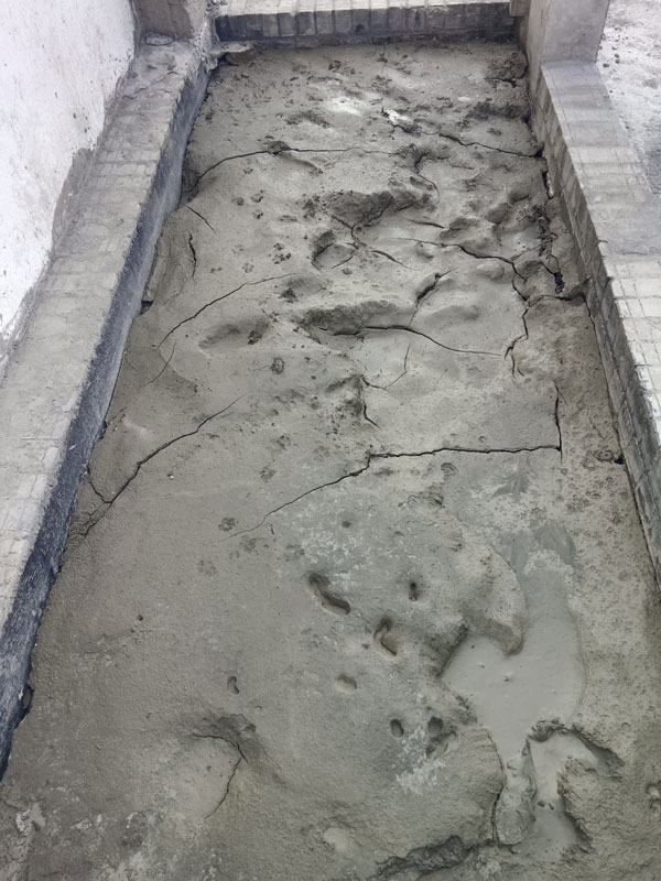 gravel-plus-prod-1
